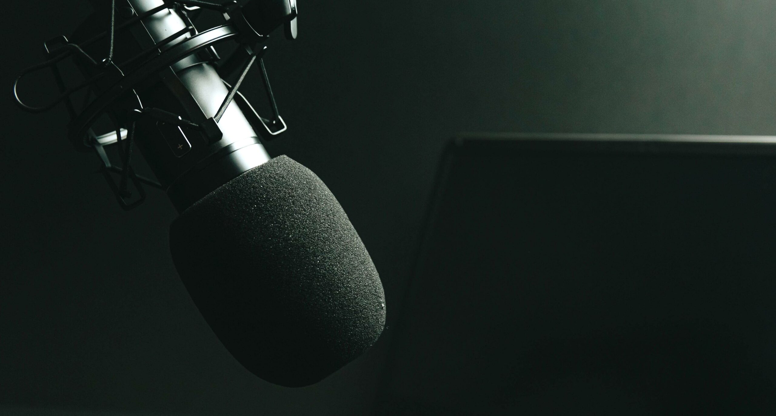 microphone